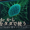Claude CodeからGemma 4をタダで呼び出す——LM Studio・Ollama・AI Studio別セットアップ