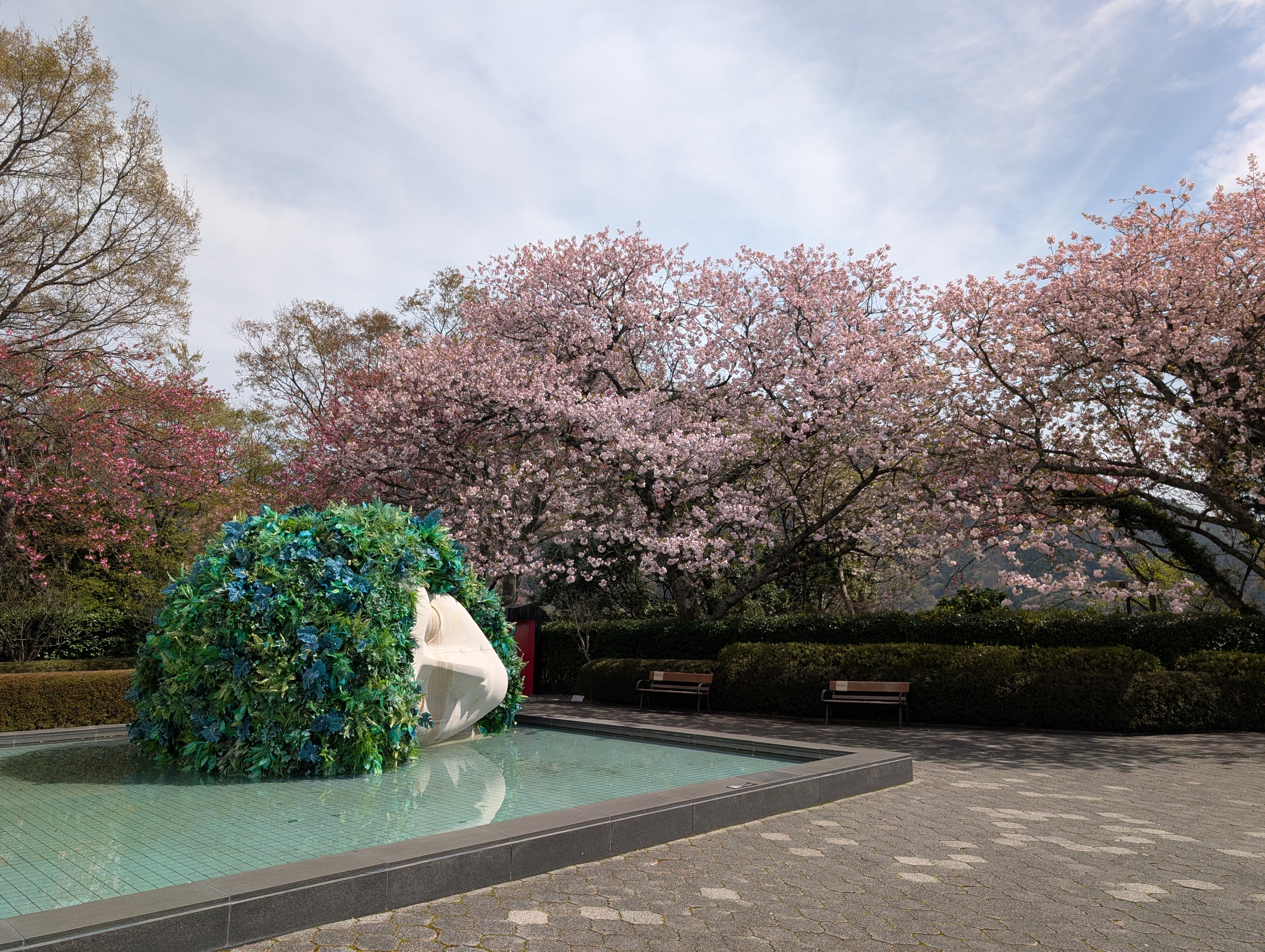 箱根彫刻の森美術館の屋外展示と桜
