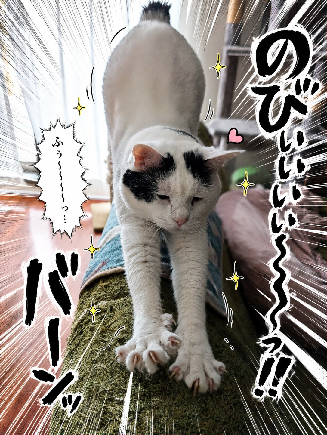 サスケが豪快に伸びをしている
