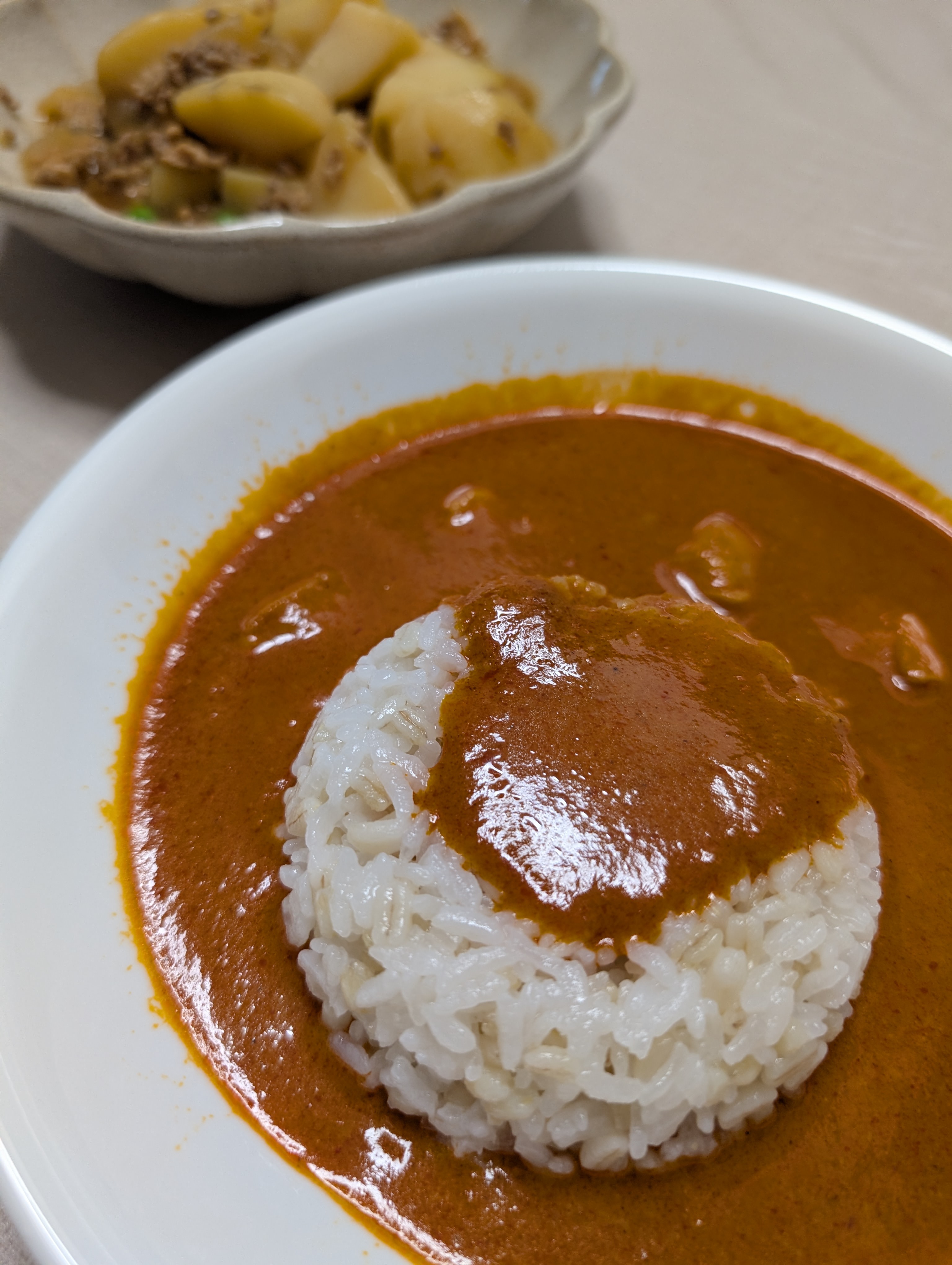 レトルトカレーの夕食