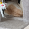 【7月30日の写真日記】眠そうなサスケとキャットタワーのチャコ
