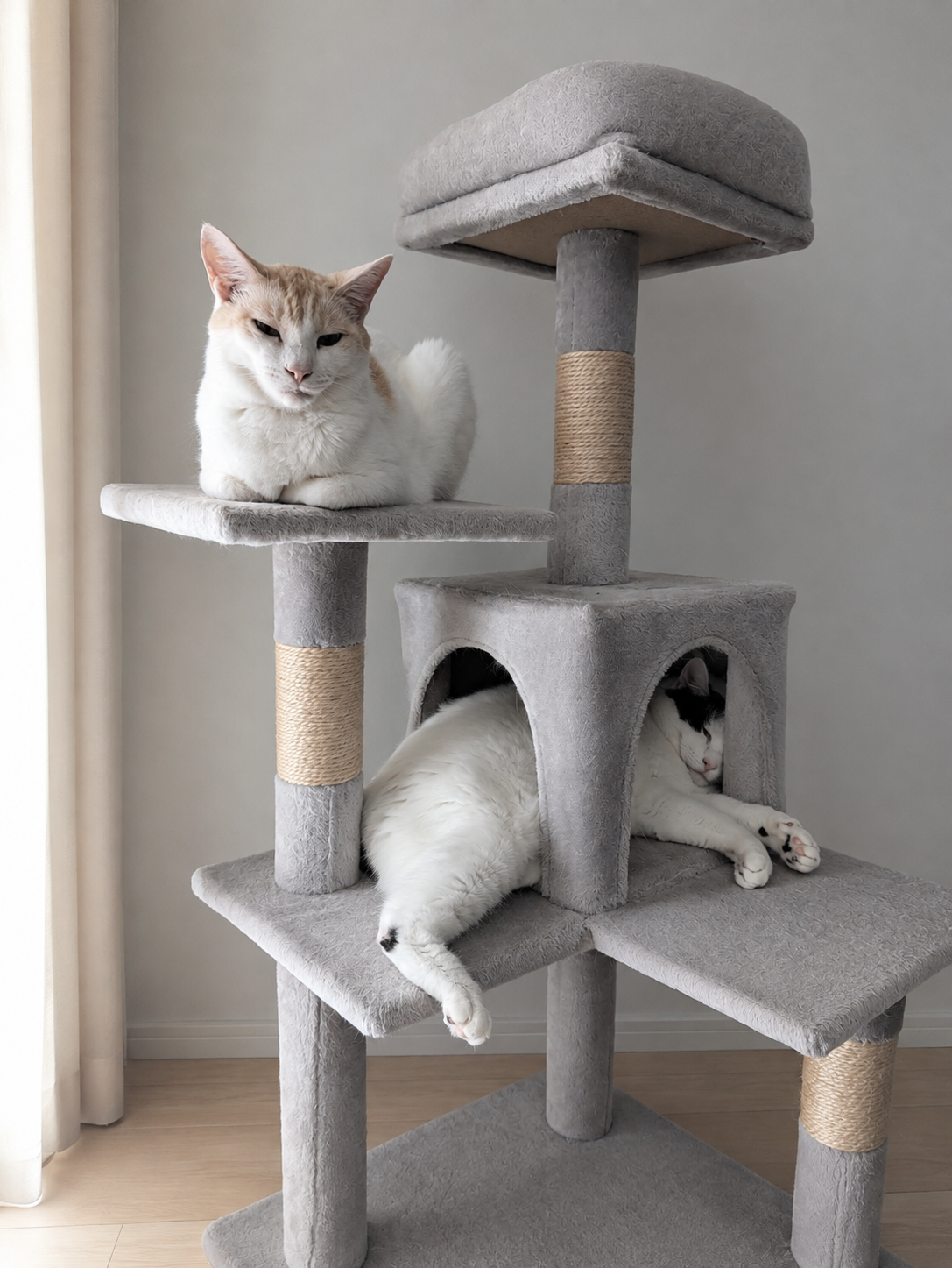 キャットタワーの最上段で座るチャコと、ひとつ下の段で伸びるサスケ