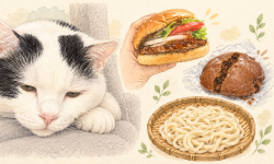 Featured image of post 【09月13日の写真日記】うとうとサスケとバーガーキングと備蓄の天然水