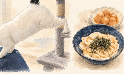 Featured image of post 【09月16日の写真日記】飛び移るサスケと明太うどんと開業届
