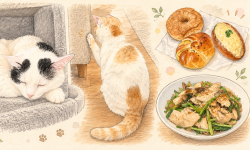 Featured image of post 【10月04日の写真日記】猫たちとパンランチ、使い切った七味缶