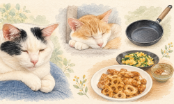 Featured image of post 【10月06日の写真日記】ウトウトする猫たちと家庭料理、フライパンの買い替え