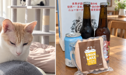 Featured image of post 【10月09日の写真日記】まどろむ猫たちとスタバのブラック無糖、妻からのスワンレイクビール