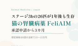 Featured image of post 猫の腎臓病薬「FeliAIM」、承認申請から3カ月\u3000ステージ3b26匹が1年後も生存