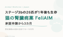 Featured image of post 猫の腎臓病薬「FeliAIM」、承認申請から3カ月\u3000ステージ3b26匹が1年後も生存