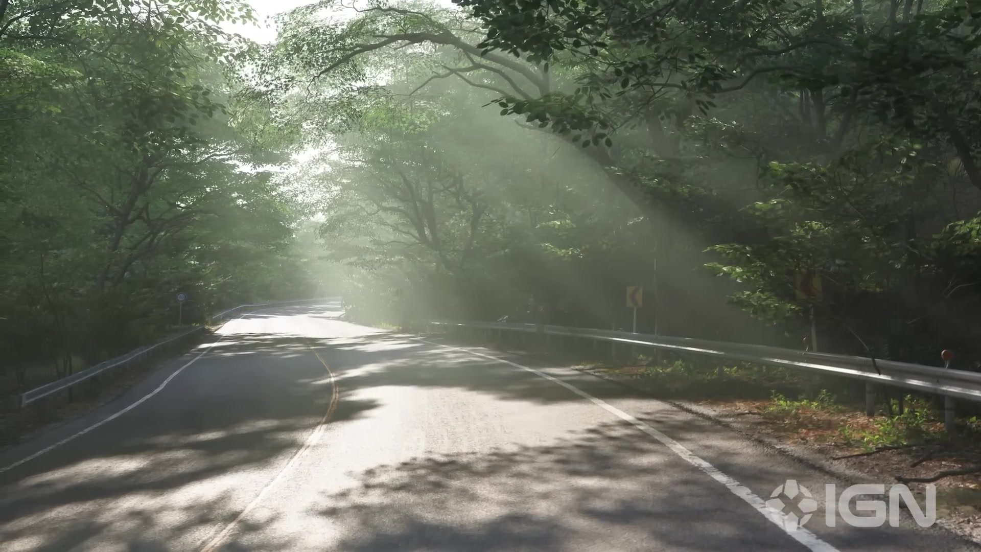 低山エリア。木々のトンネルを抜ける峠道が続く